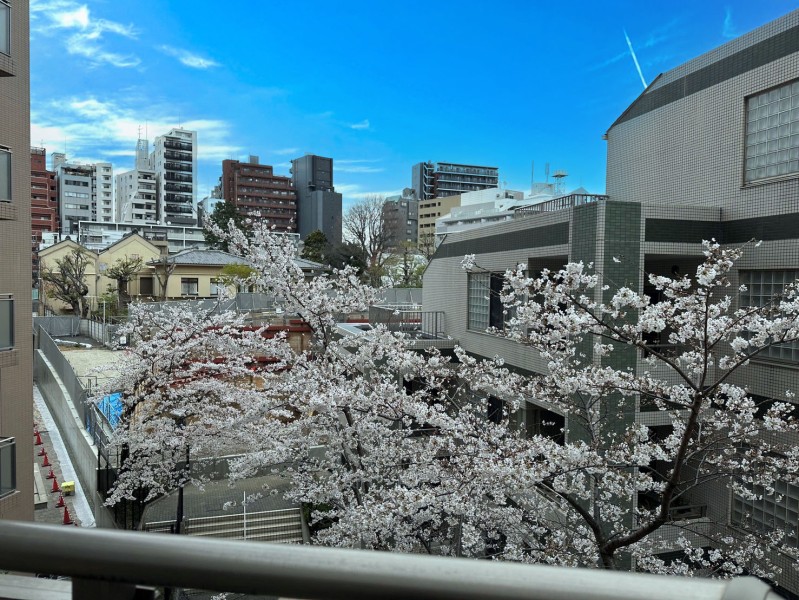 目線を上げると青々とした空を望み、春には美しく咲き誇る桜を堪能できる眺望です♪季節と共に移り変わっていく景色を眺めながら、少し肩の力を抜きたくなるような眺めを満喫できます。