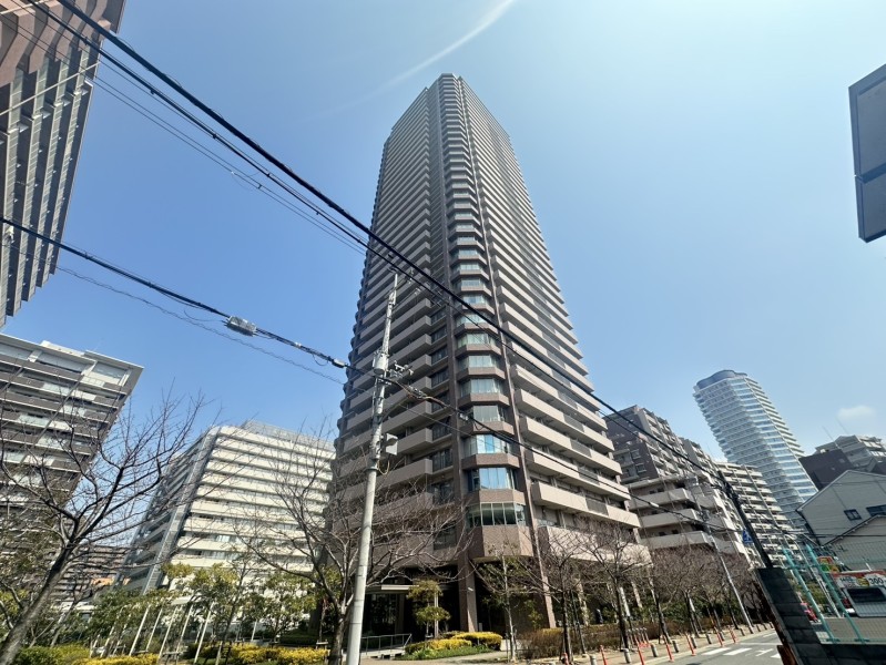 37階建、総戸数267戸の大規模タワーレジデンスです。平成21年建築、ペットの飼育が可能です。近鉄線・ＪＲ環状線・地下鉄が利用可能、周辺には医療機関やお買い物施設も充実しており、利便性が高い立地です。