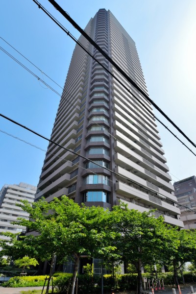 37階建、総戸数267戸の大規模タワーレジデンスです。平成21年建築、ペットの飼育が可能です。近鉄線・ＪＲ環状線・地下鉄が利用可能、周辺には医療機関やお買い物施設も充実しており、利便性が高い立地です。