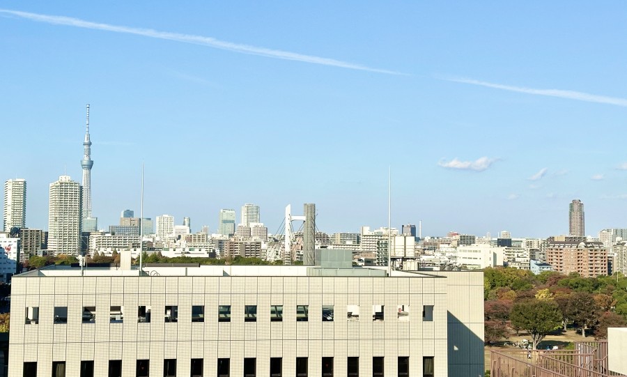 北向きのルーフバルコニーからはスカイツリーを望めます。ルーフバルコニーが3箇所あるためお好きな眺望を見つけたり、お好きな使い方をすることができます。