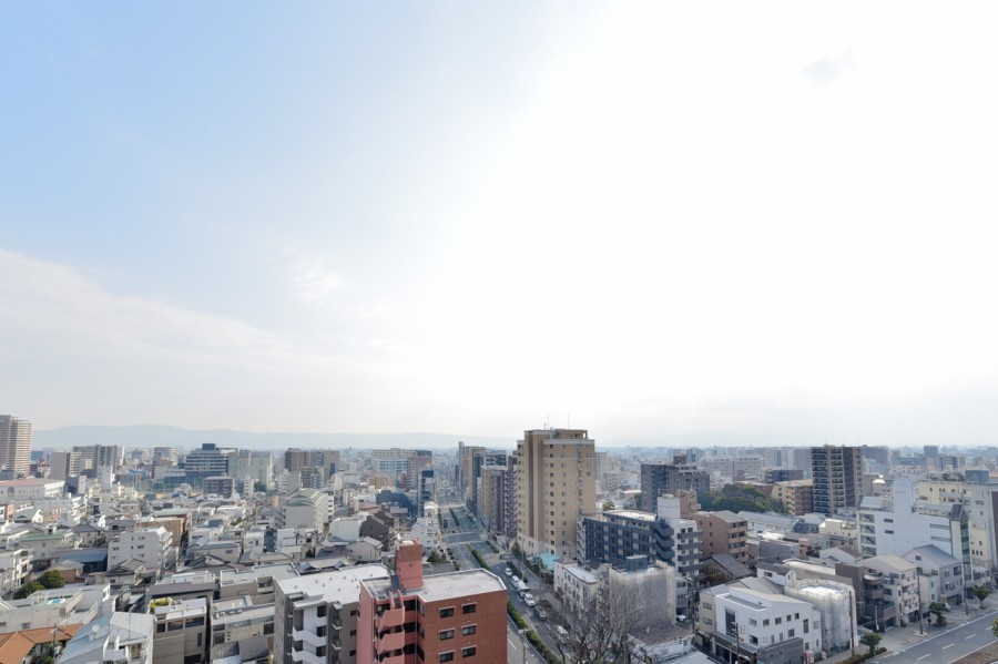 東側バルコニーからの眺望です。前面を遮る建物はなく、遠く生駒山の緑と時間と共に変化する大きな空を楽しむことができます。一日の終わりに大きく伸びをしたくなるような開放的な空間が広がります。