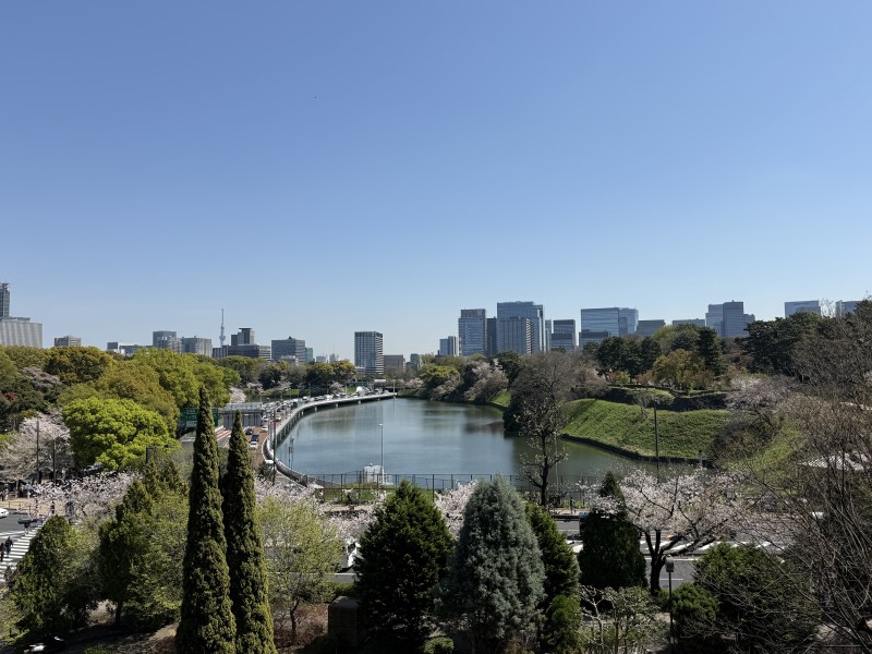 千鳥ヶ淵の豊かな緑と広い青空が美しく調和する、開放感あふれる眺めが広がります。季節や時間とともに表情を変える、飽きのこない景色をお愉しみいただけます。