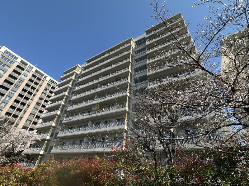 安心の新耐震基準マンションです。2010年には共用部大規模修繕工事を実施済み。月島駅徒歩4分、有楽町線と大江戸線が利用できるアクセス良好な立地です。