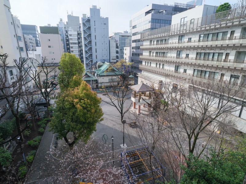 目の前には十思公園の緑が広がり、都心にいながら季節の移ろいを身近に感じられる眺望です。リフレッシュスペースにぴったりです。