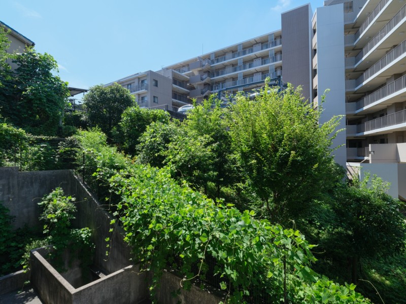 バルコニー前には豊かな緑が広がり、周辺建物との距離感も感じられる眺望です。都市部にありながら季節の移ろいを身近に感じられる住環境が広がっています。